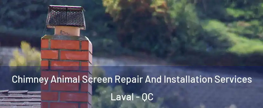  Chimney Animal Screen Repair And Installation Services Laval - QC