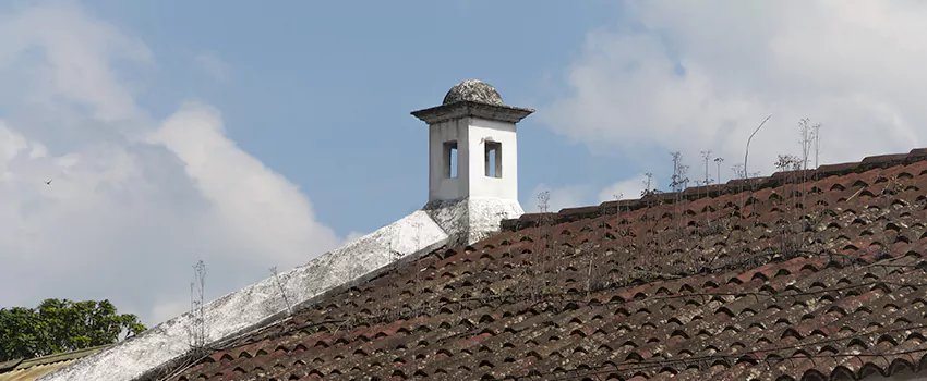 Wind-Resistant Chimney Caps Installation and Repair Services in Laval, Quebec