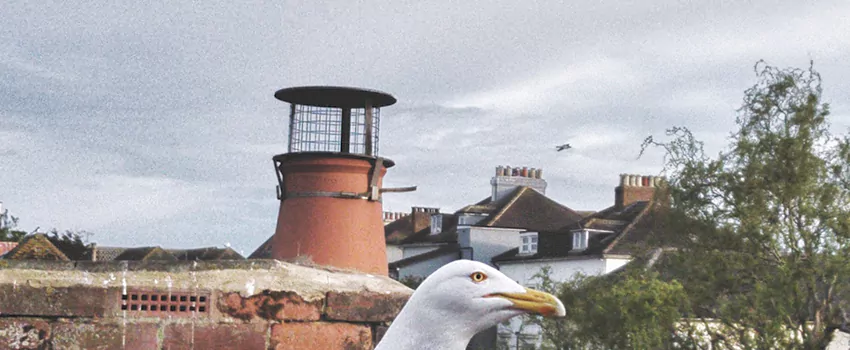 Chimney Cap Bird Guard Repair in Laval, Quebec
